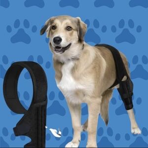 PAWFUN Dog Knee Brace for Torn ACL Adjustable Leg Support for Hip Dysplasia